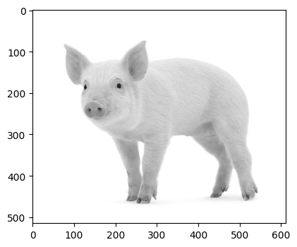 _images/gray.png