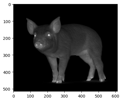 _images/invert.png