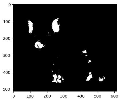 _images/t105.png