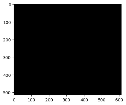 _images/t255.png